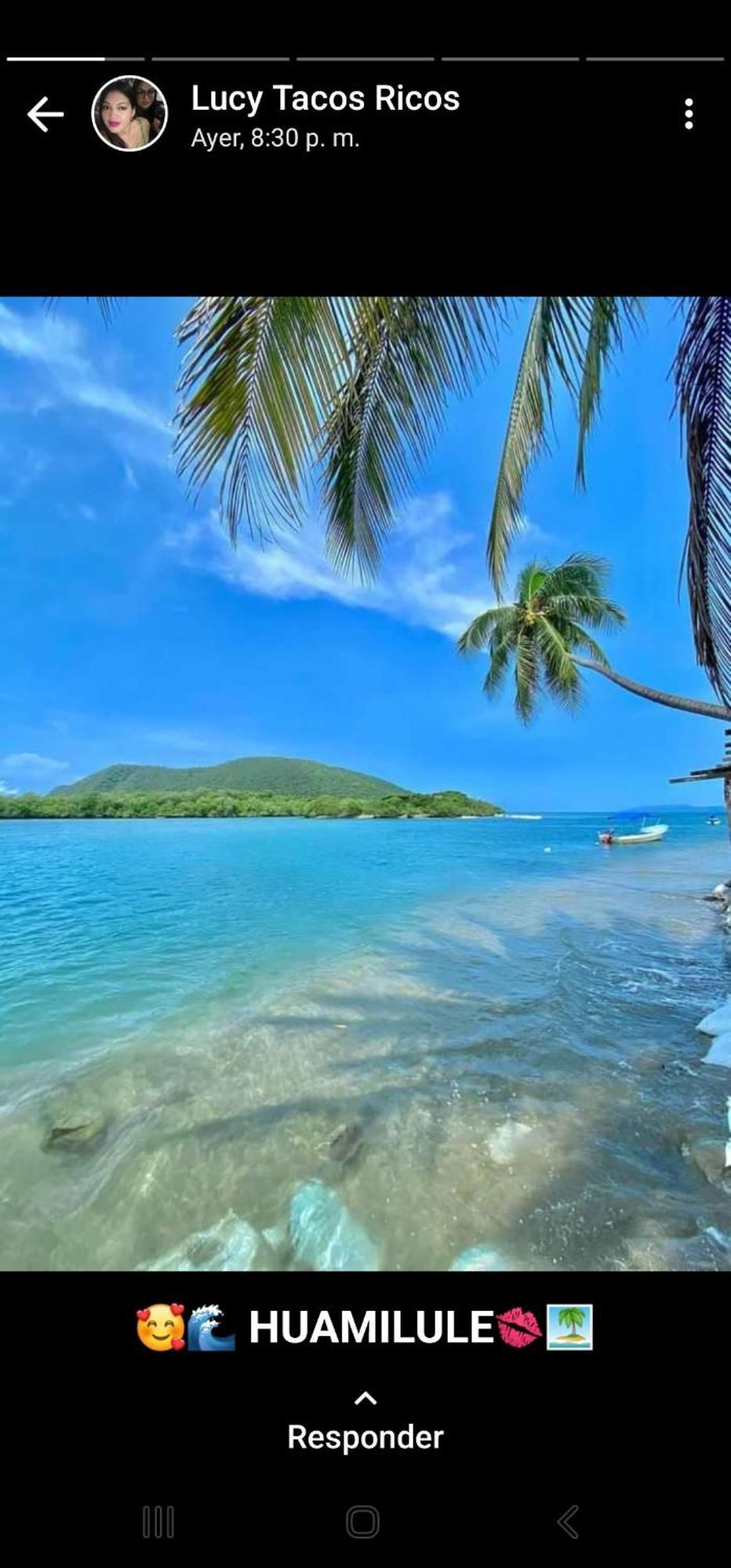 Turtle Beach Villas Zihuatanejo Ngoại thất bức ảnh