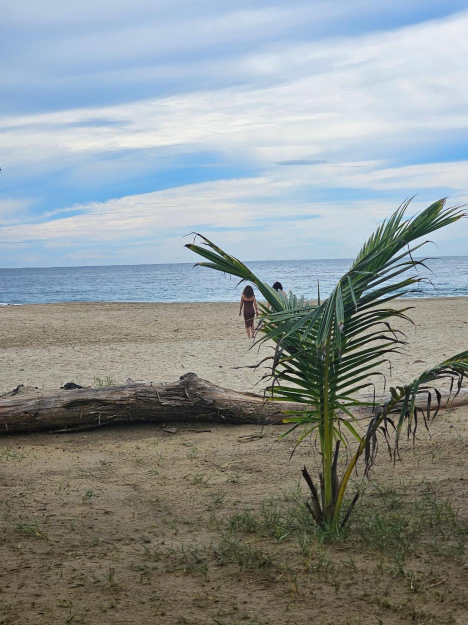 Turtle Beach Villas Zihuatanejo Ngoại thất bức ảnh